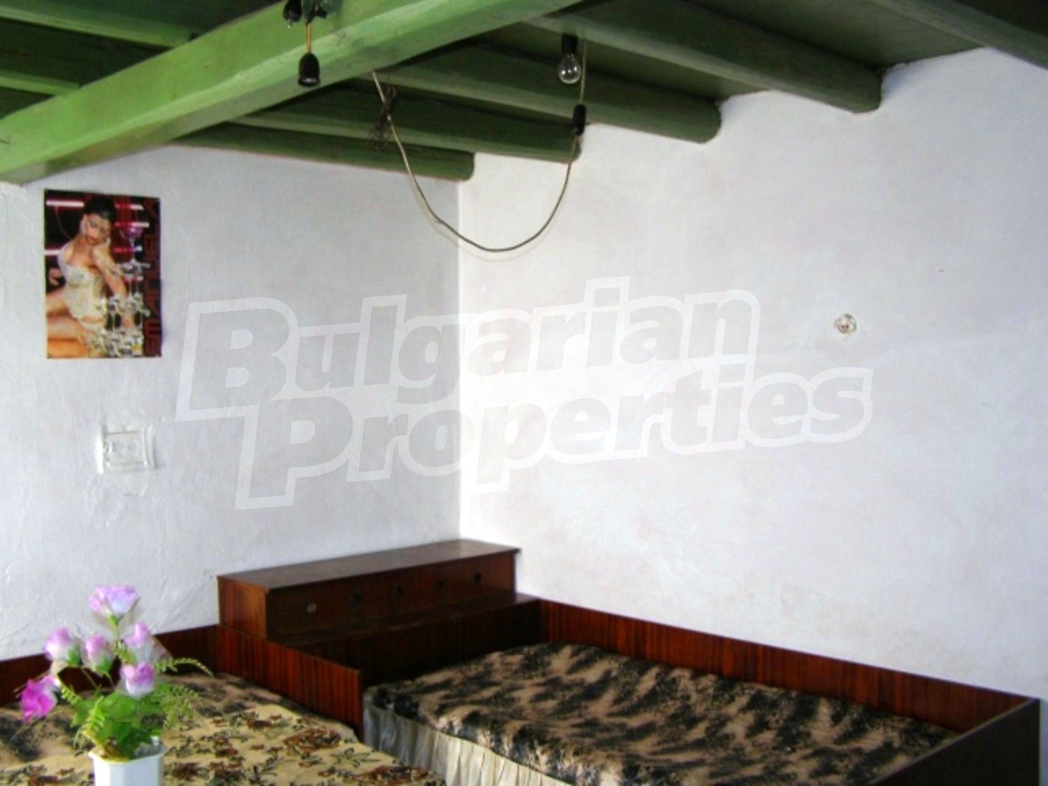 Gallery Picture 8