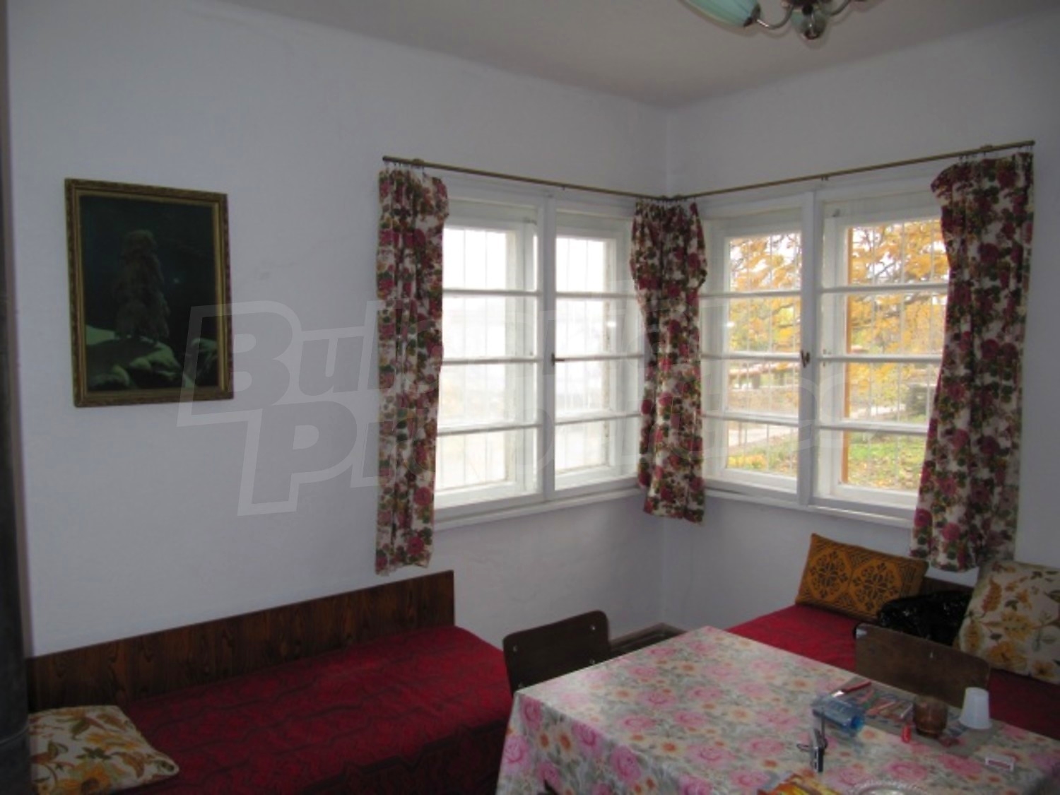 Gallery Picture 10