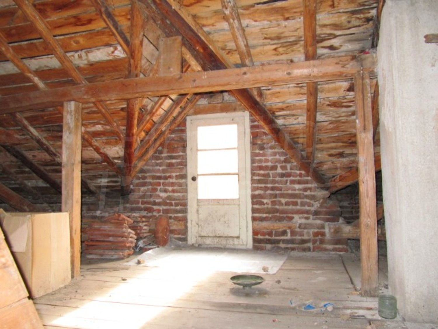 Gallery Picture 14