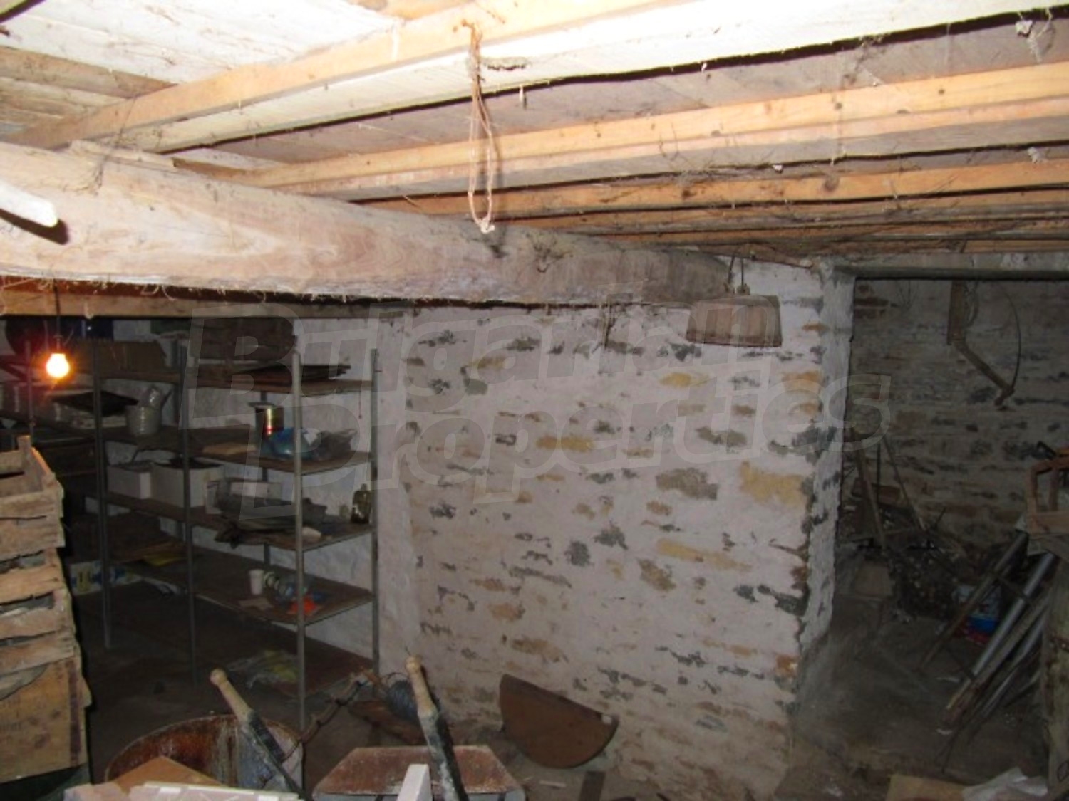 Gallery Picture 15