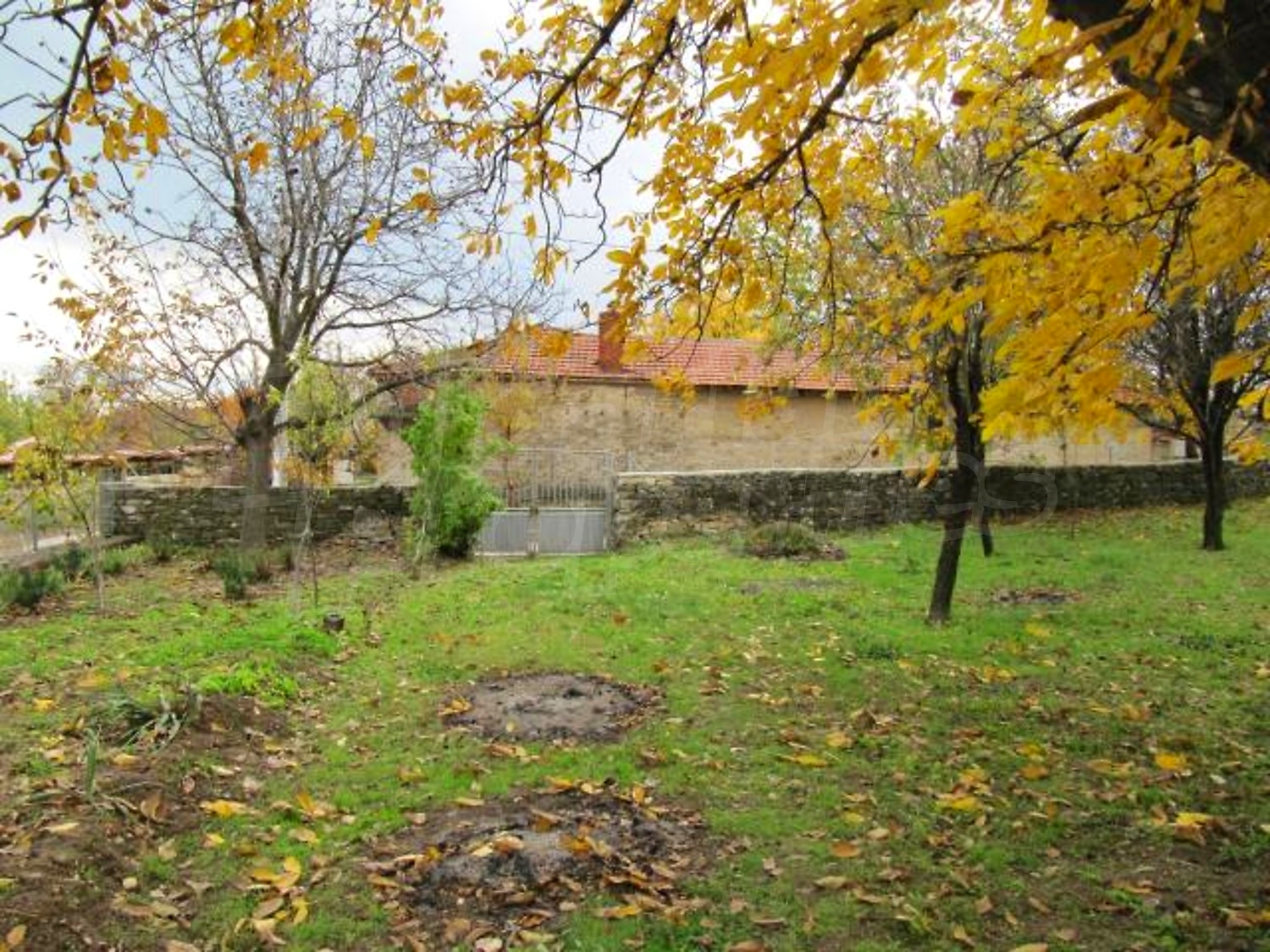 Gallery Picture 19