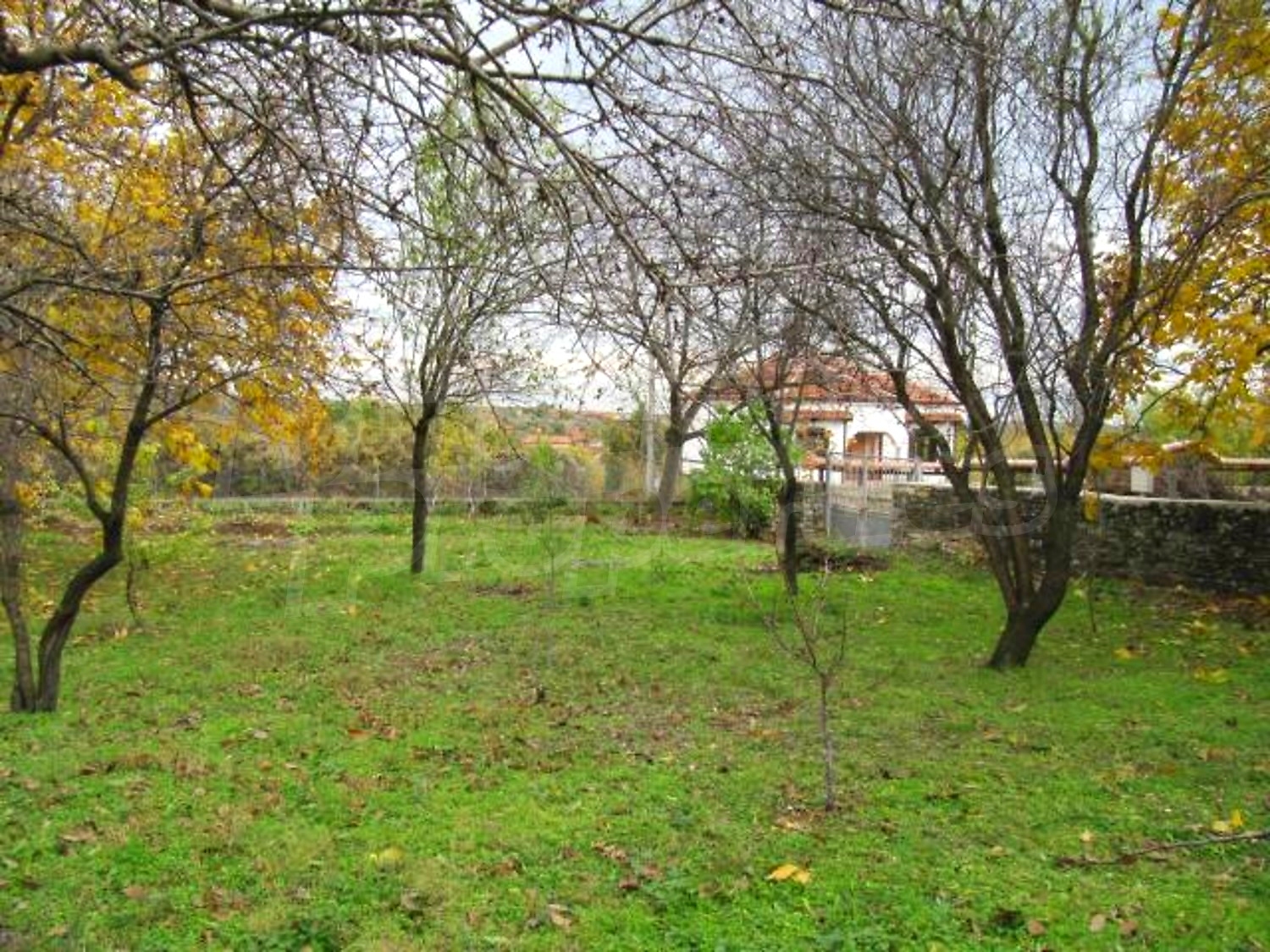 Gallery Picture 24