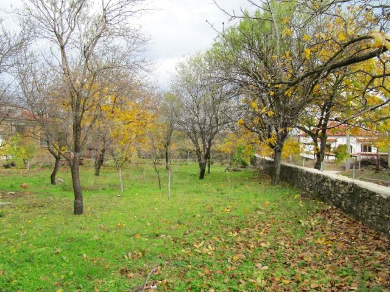 Gallery Picture 25