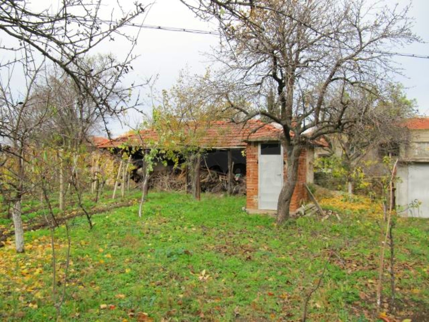 Gallery Picture 28