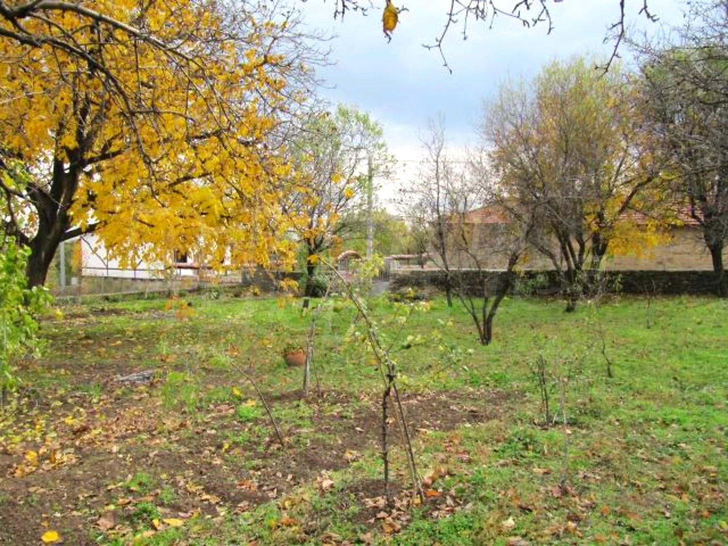 Gallery Picture 29