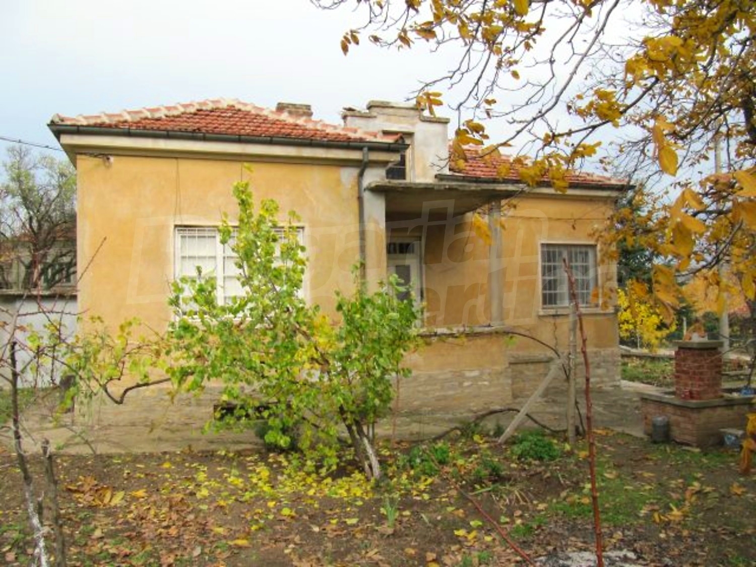 Gallery Picture 3