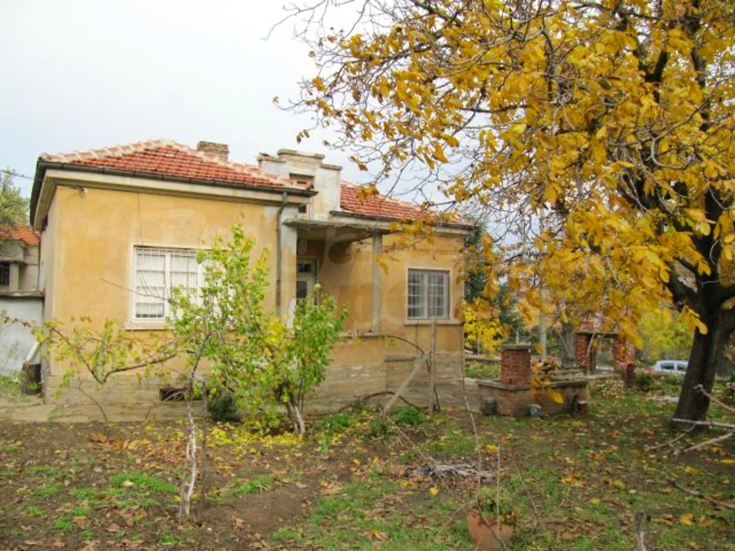 Gallery Picture 4