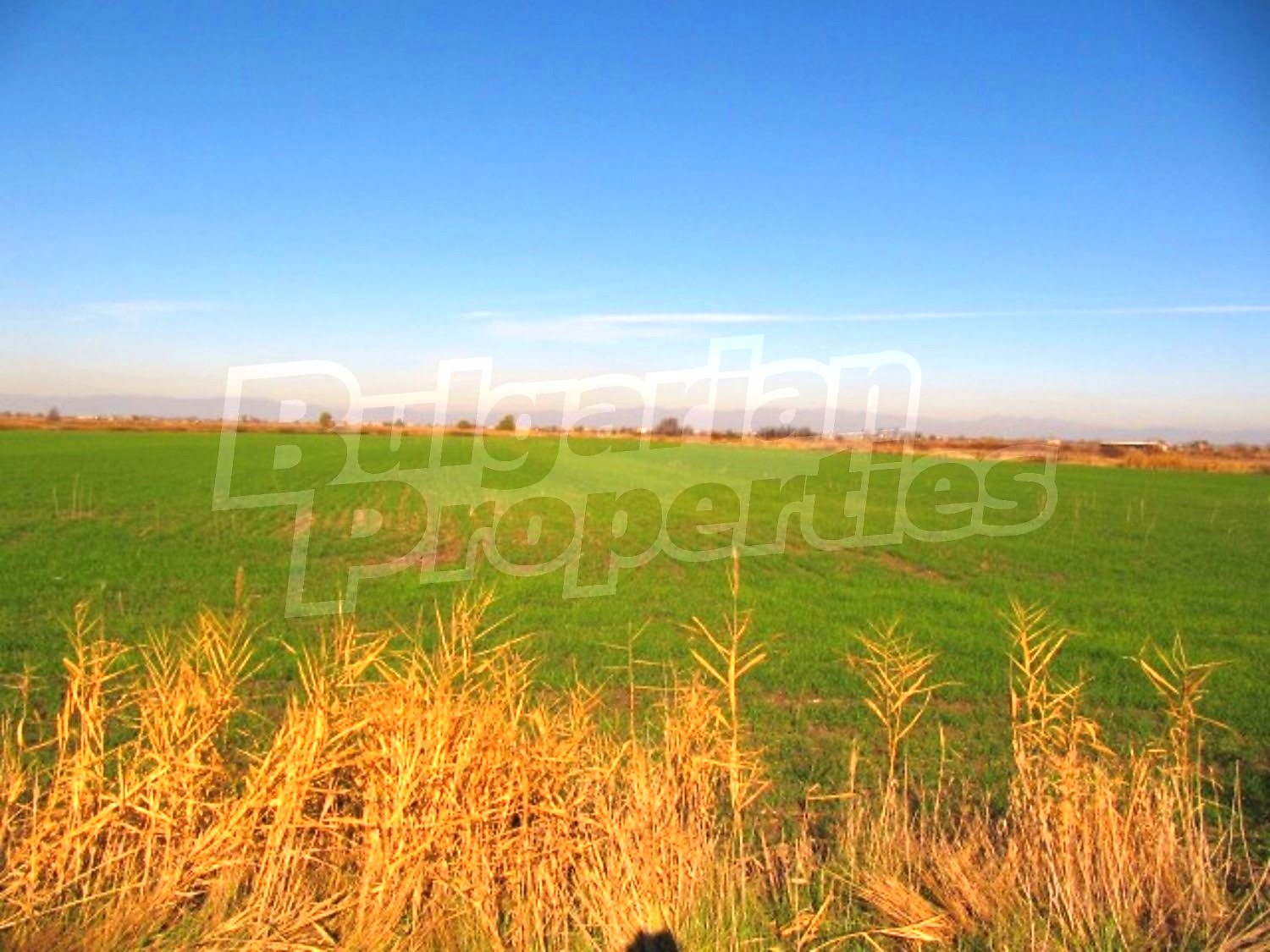 Gallery Picture 10