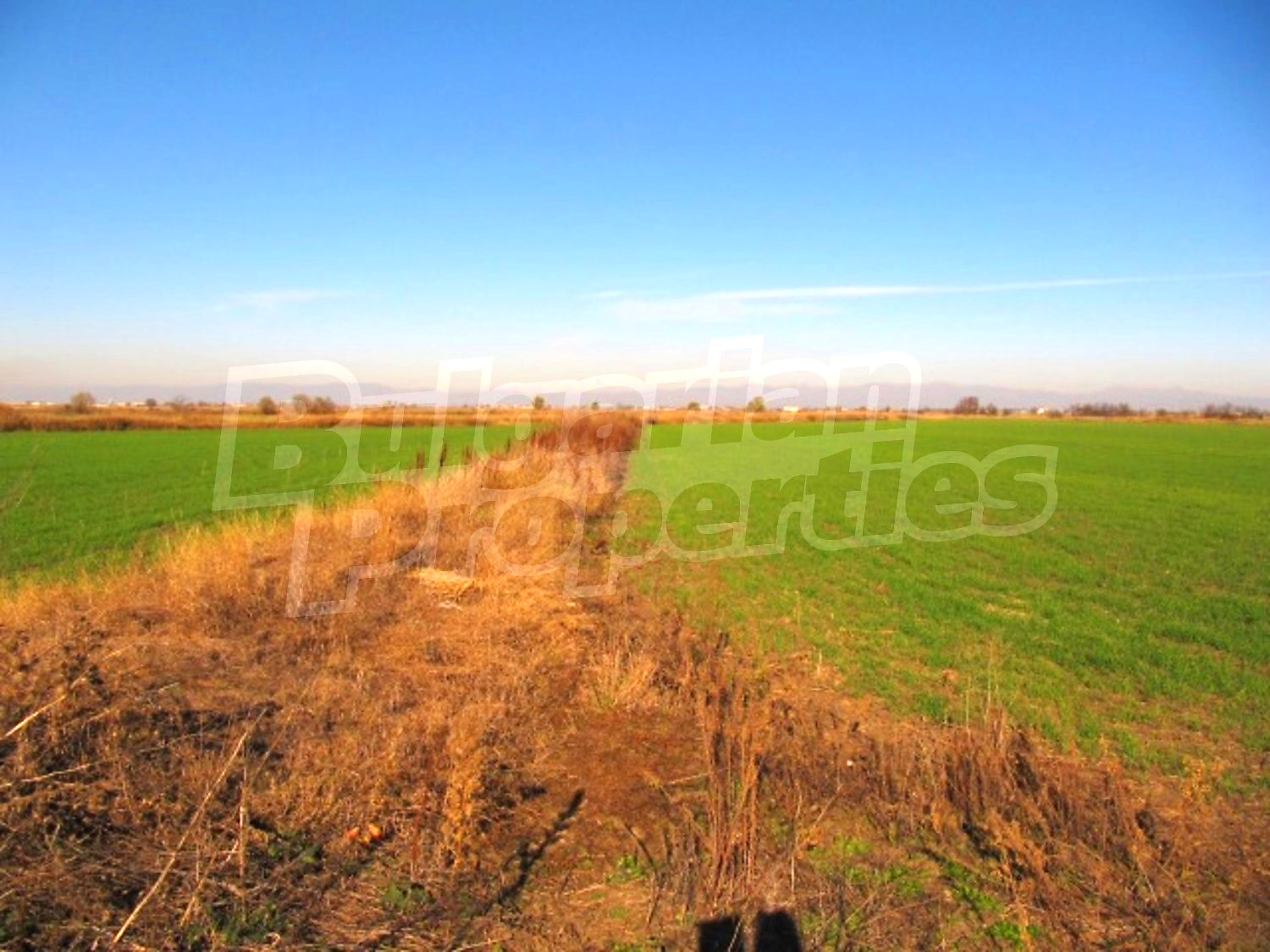 Gallery Picture 11