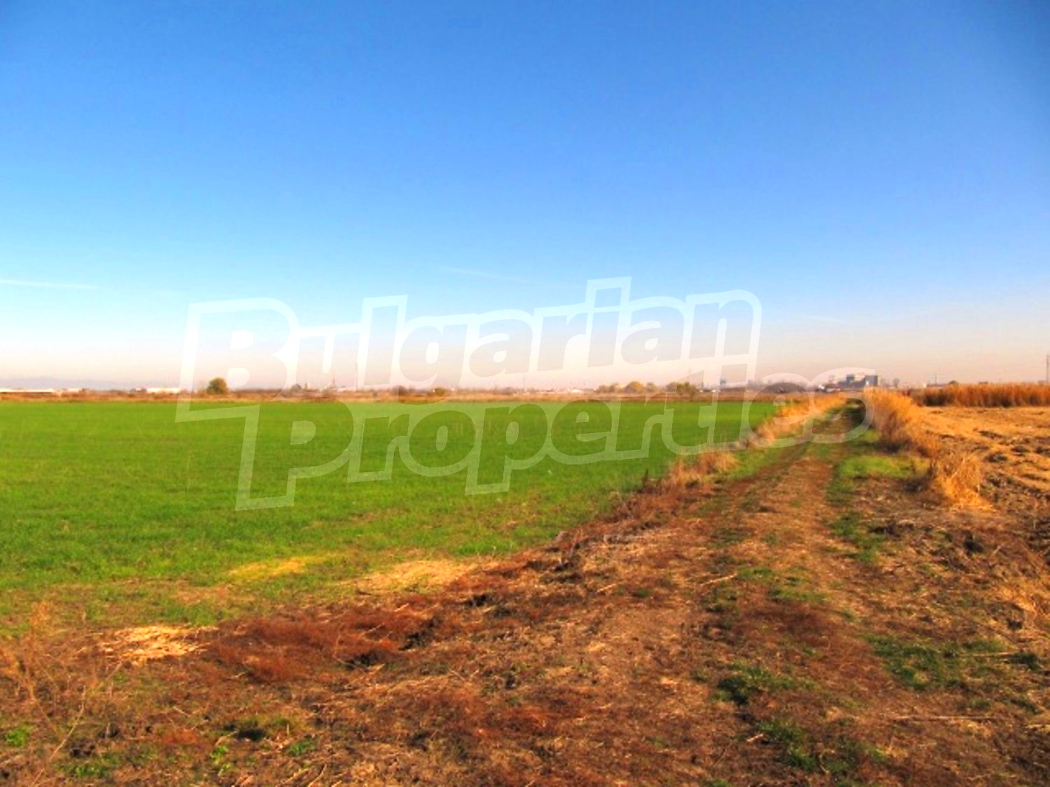 Gallery Picture 12