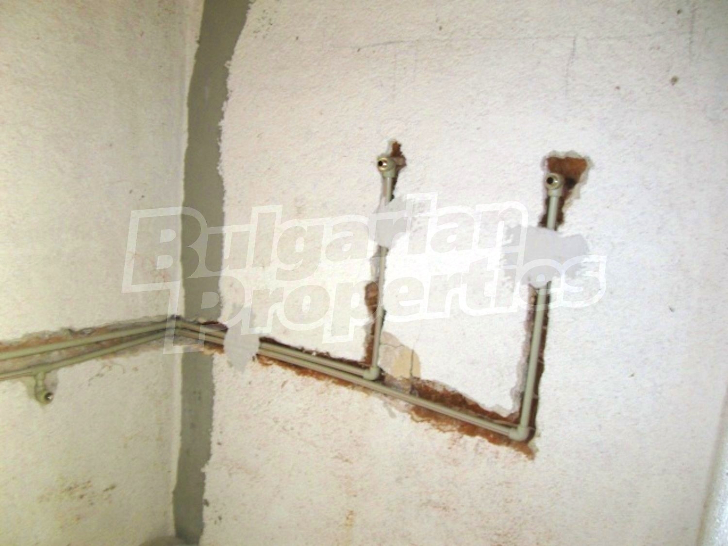 Gallery Picture 14