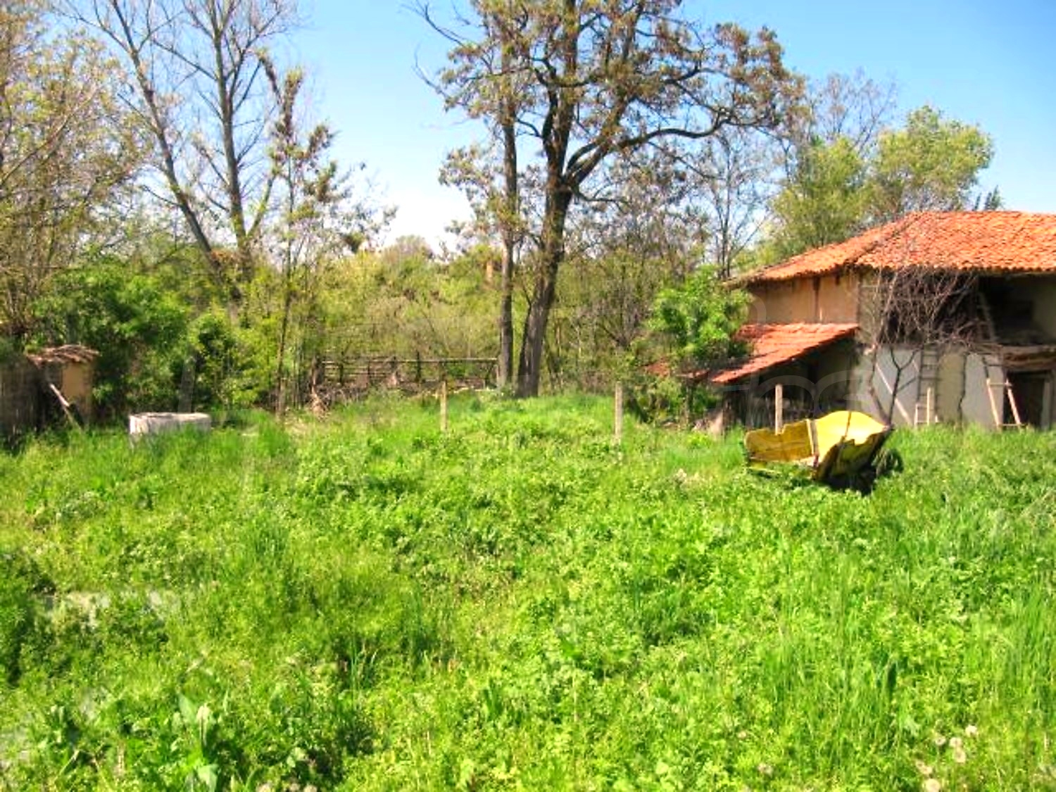 Gallery Picture 17
