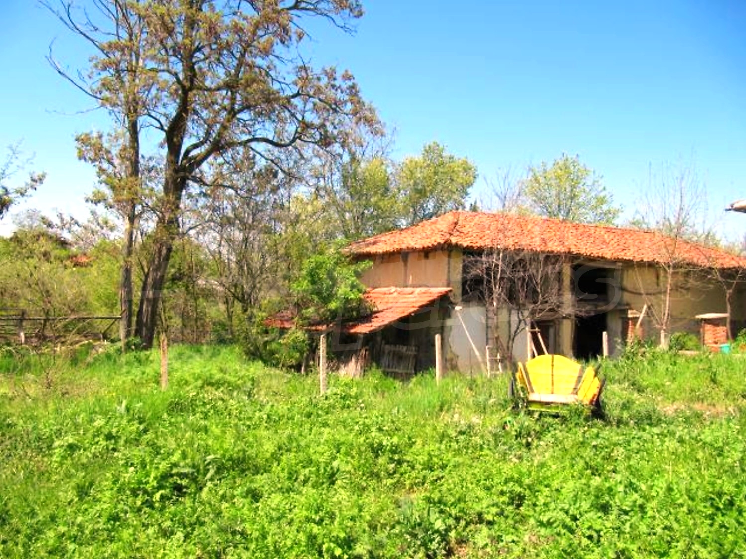 Gallery Picture 18