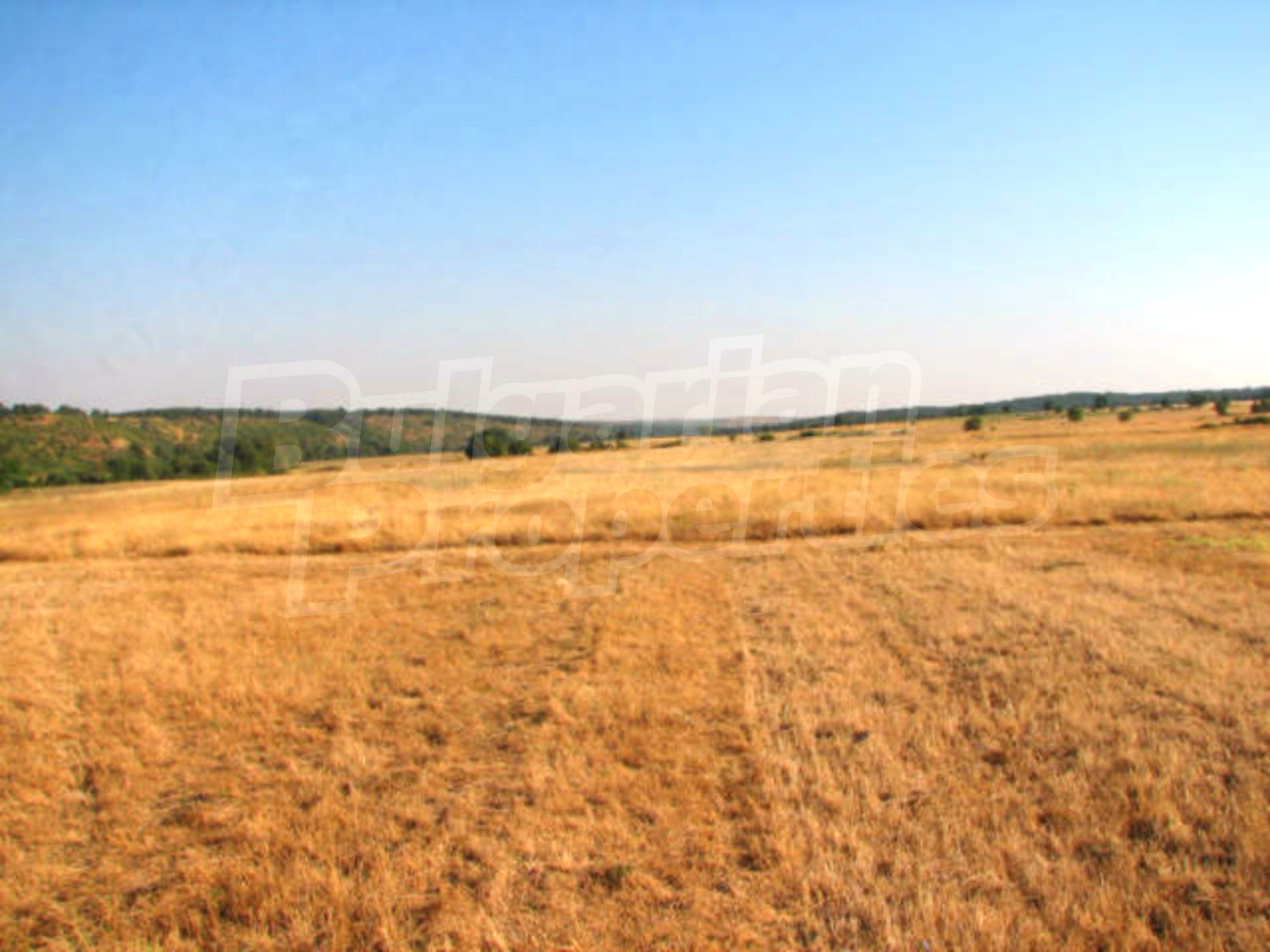 Gallery Picture 6