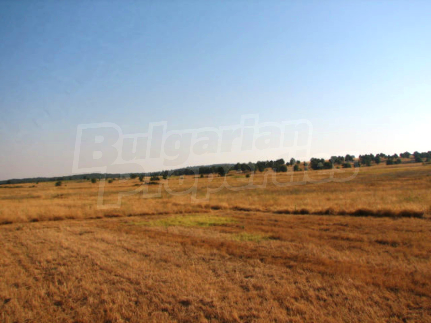 Gallery Picture 7