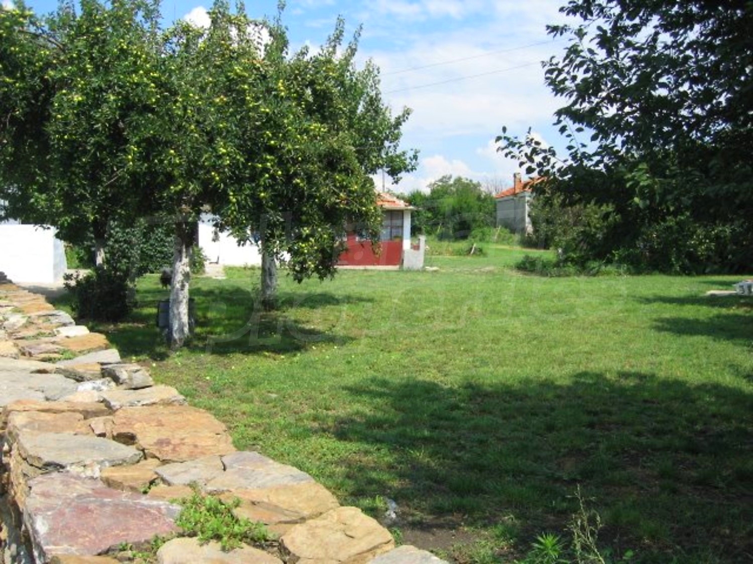 Gallery Picture 19
