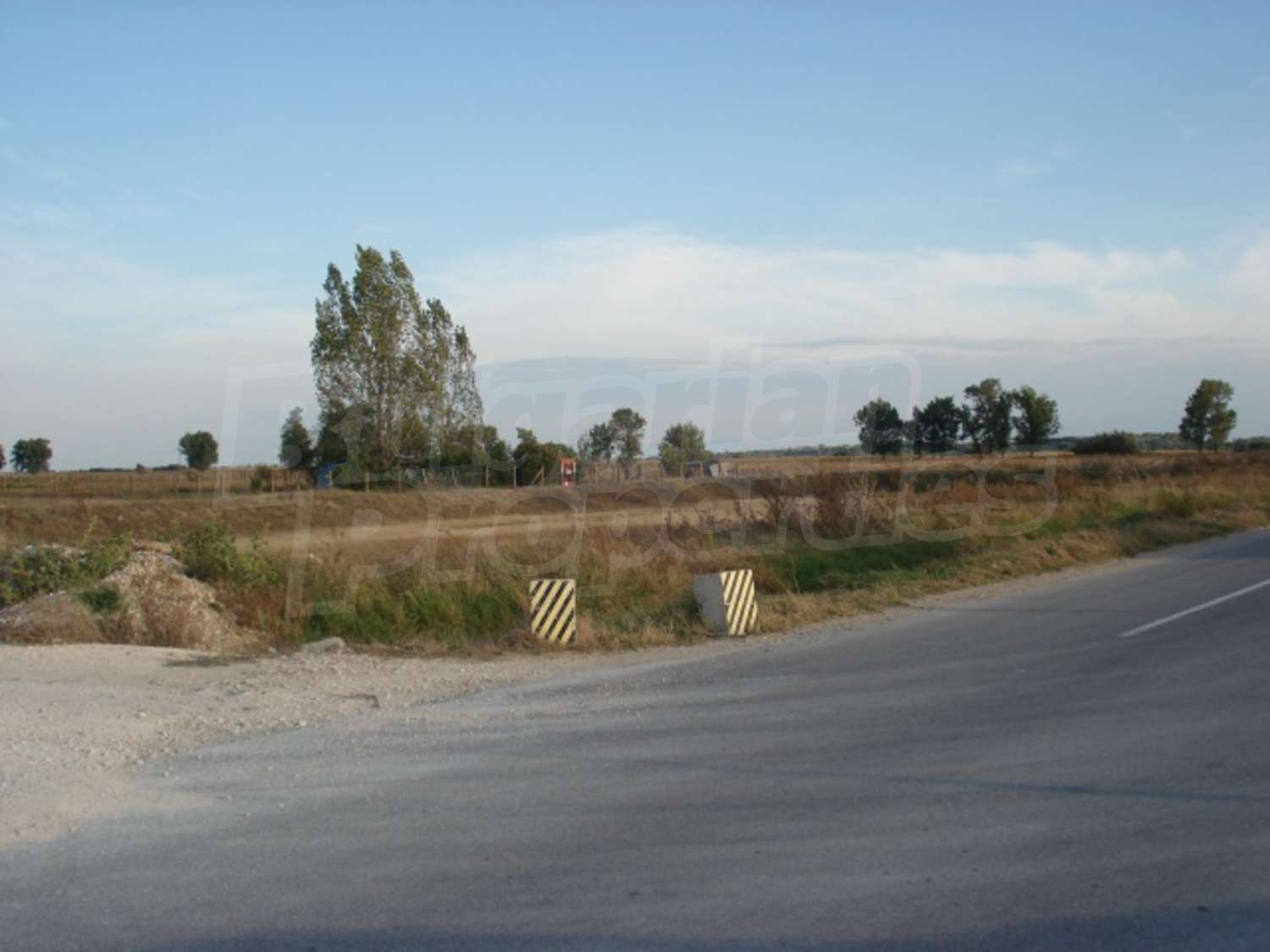 Gallery Picture 10