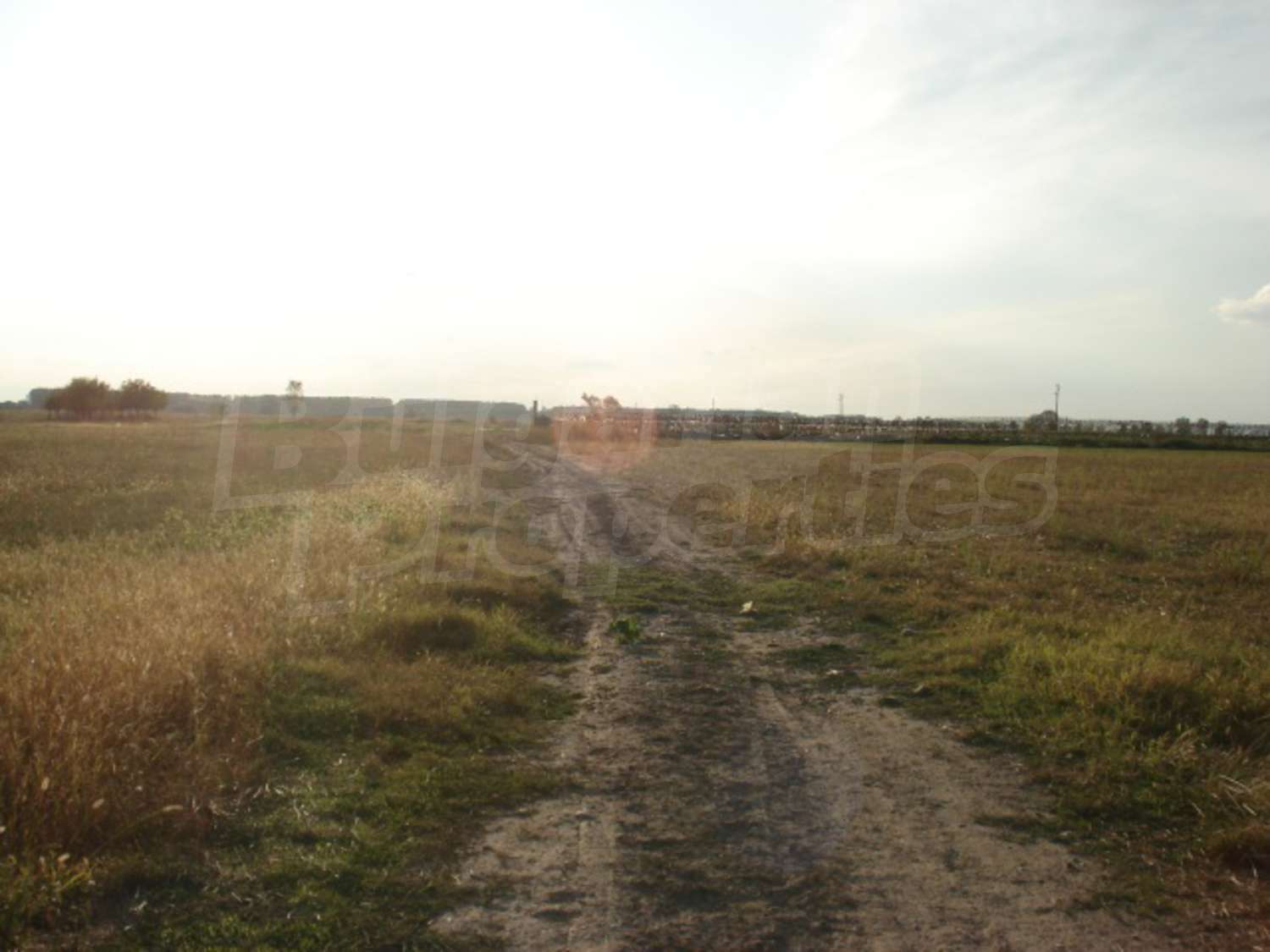 Gallery Picture 5