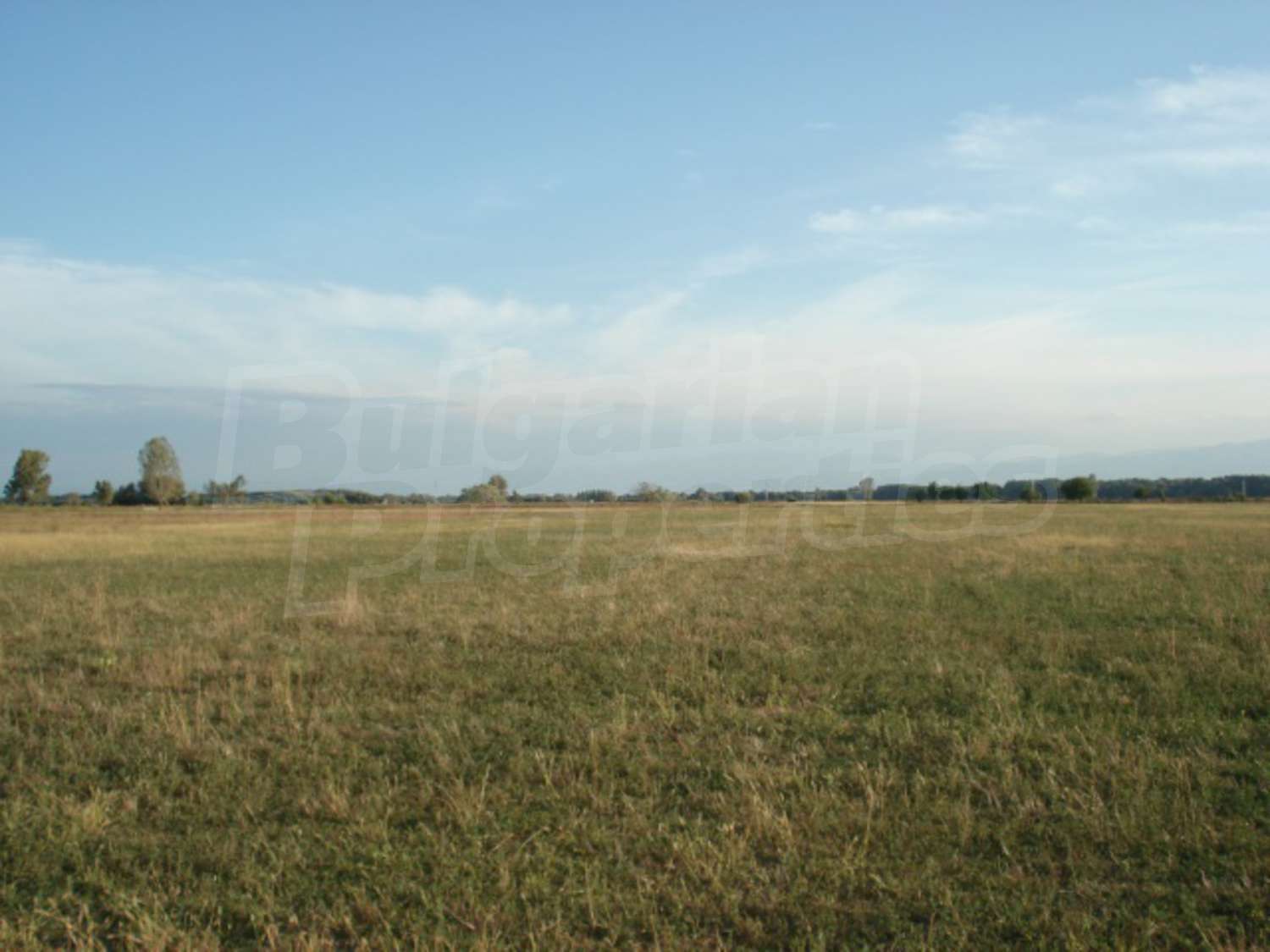 Gallery Picture 6