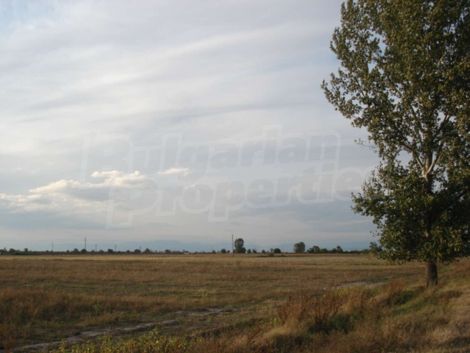 Gallery Picture 8