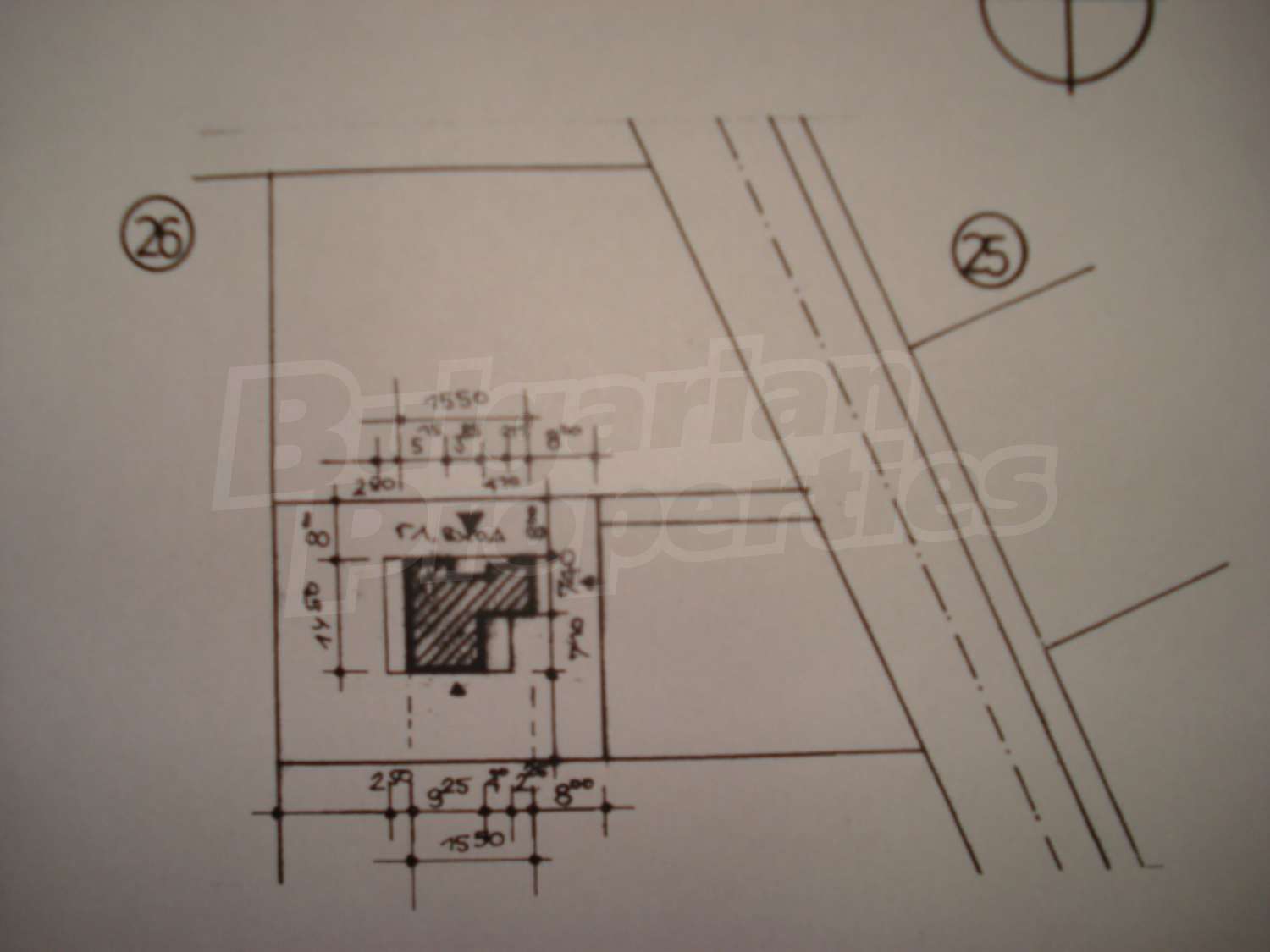 Gallery Picture 10