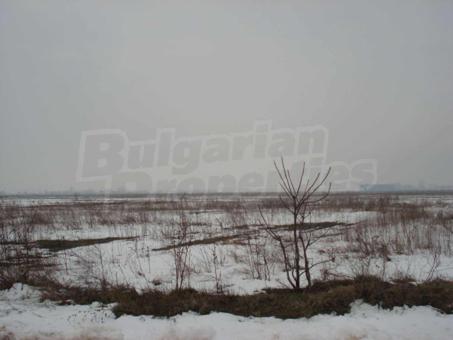 Gallery Picture 5