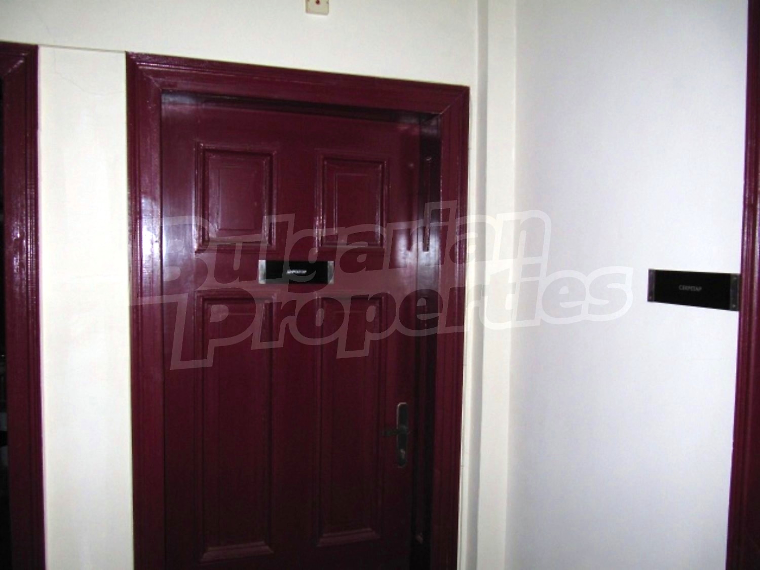 Gallery Picture 19