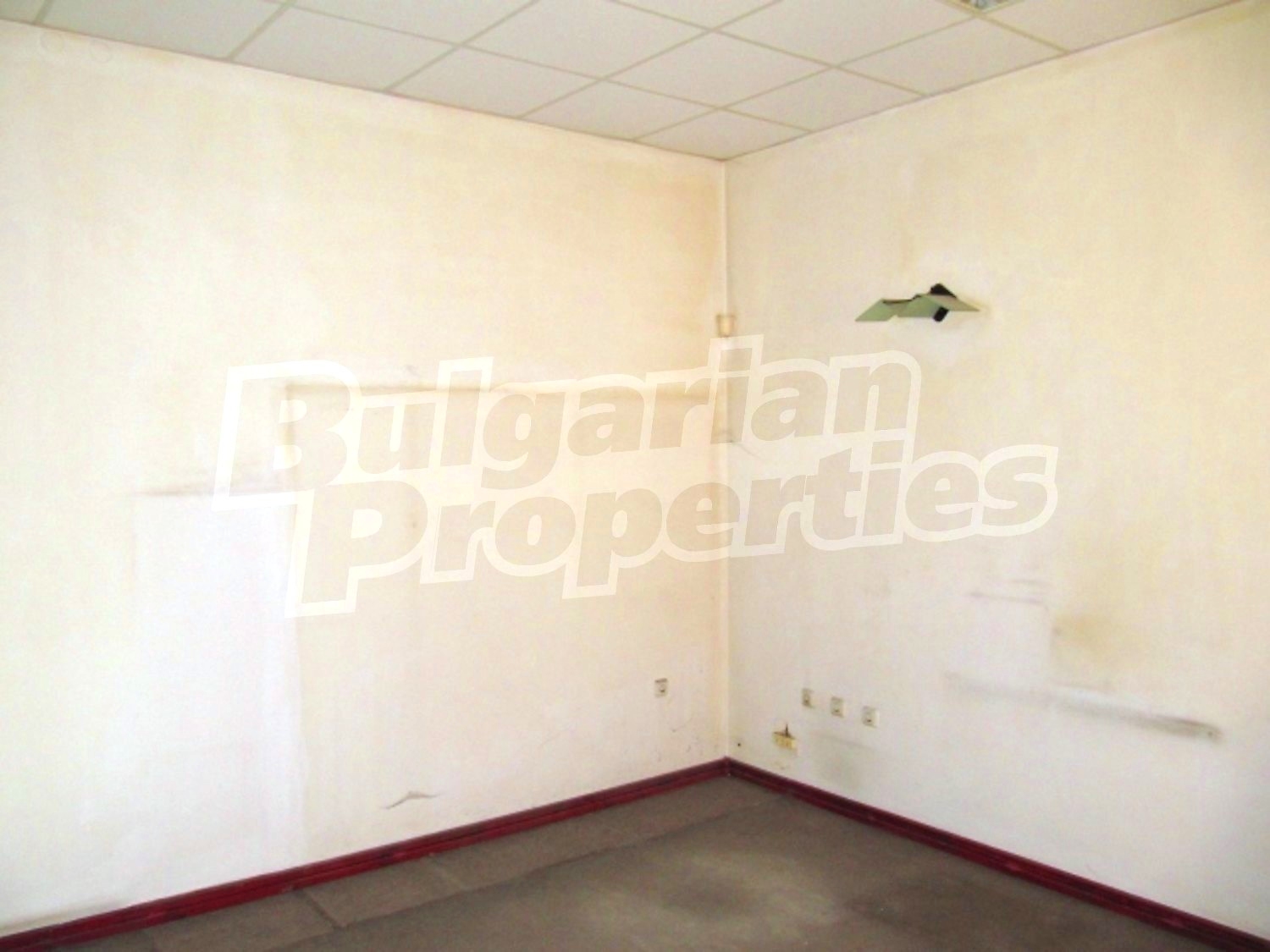 Gallery Picture 20