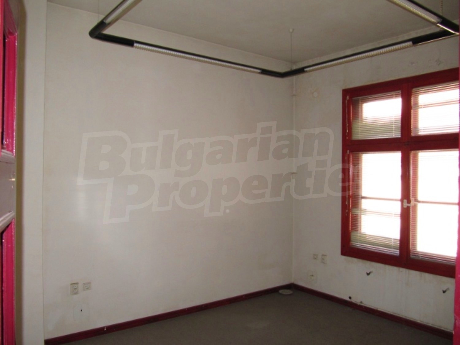 Gallery Picture 23