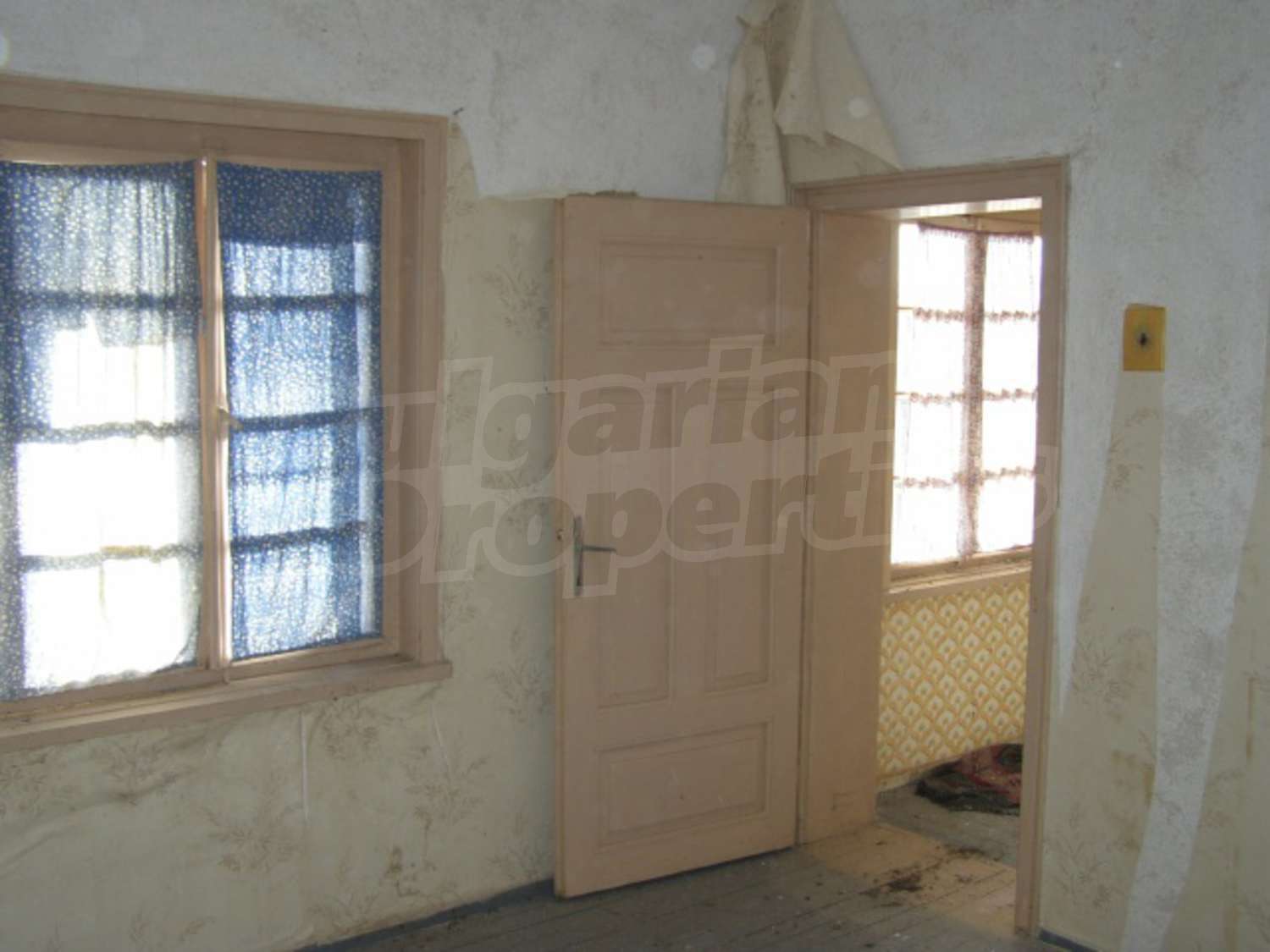 Gallery Picture 11