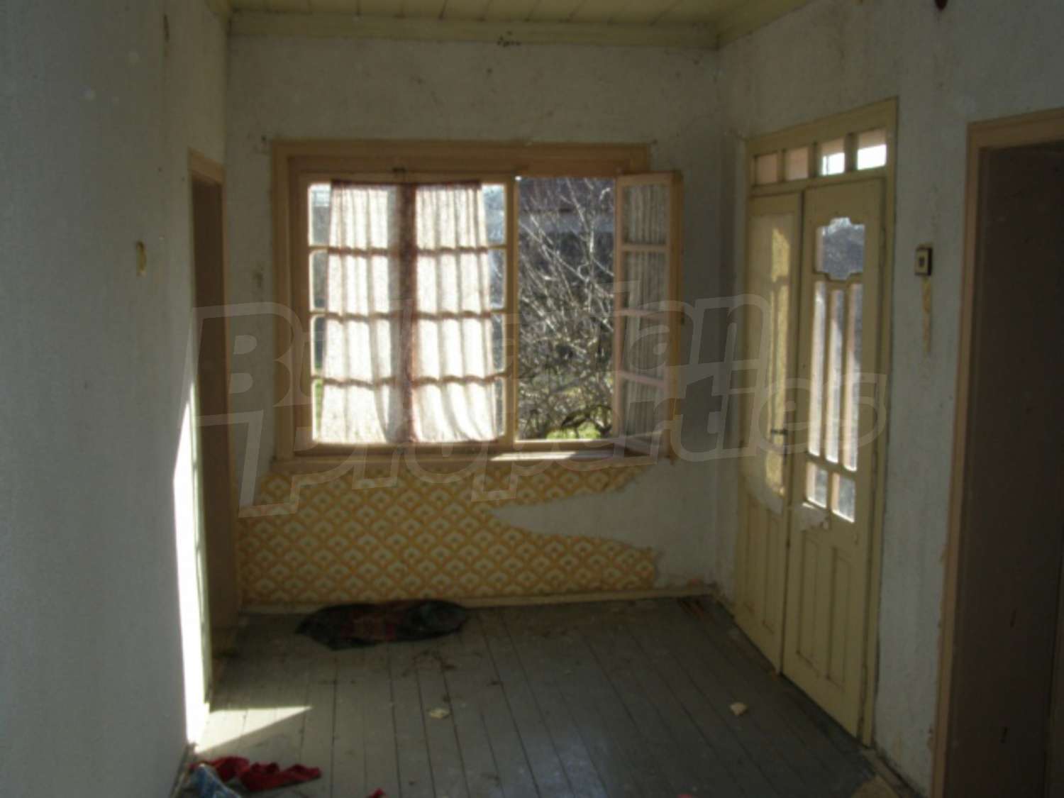 Gallery Picture 12