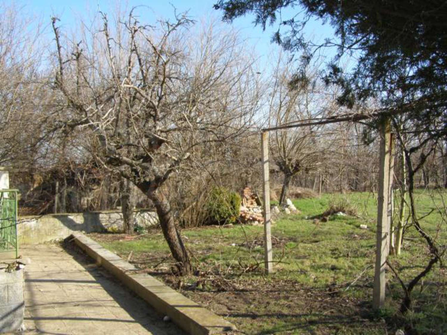Gallery Picture 17
