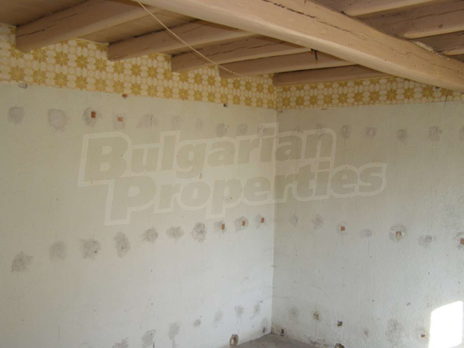 Gallery Picture 6