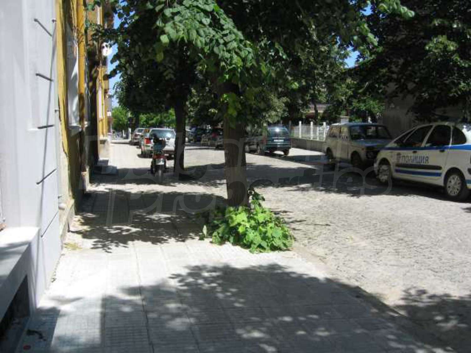 Gallery Picture 6