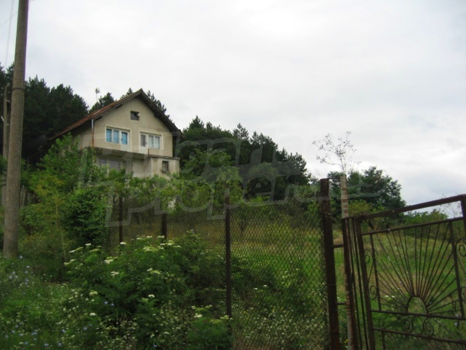 Gallery Picture 10