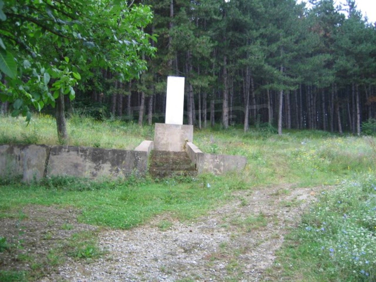 Gallery Picture 11