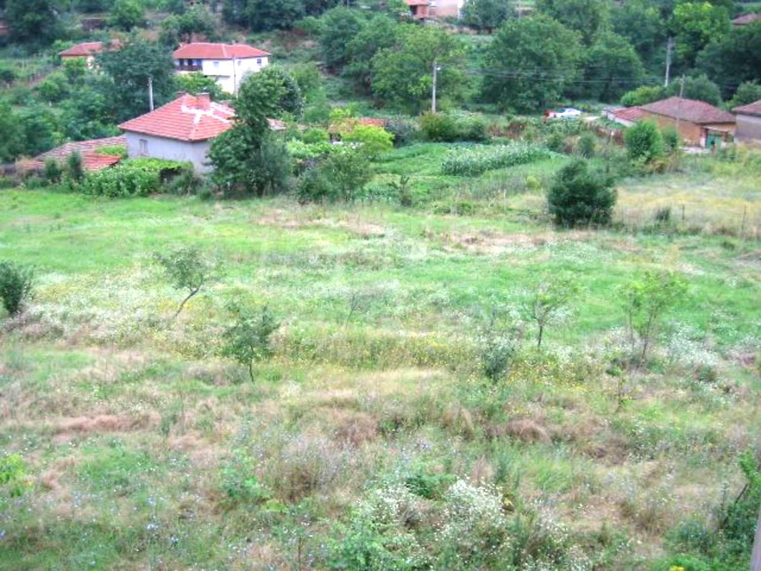 Gallery Picture 17