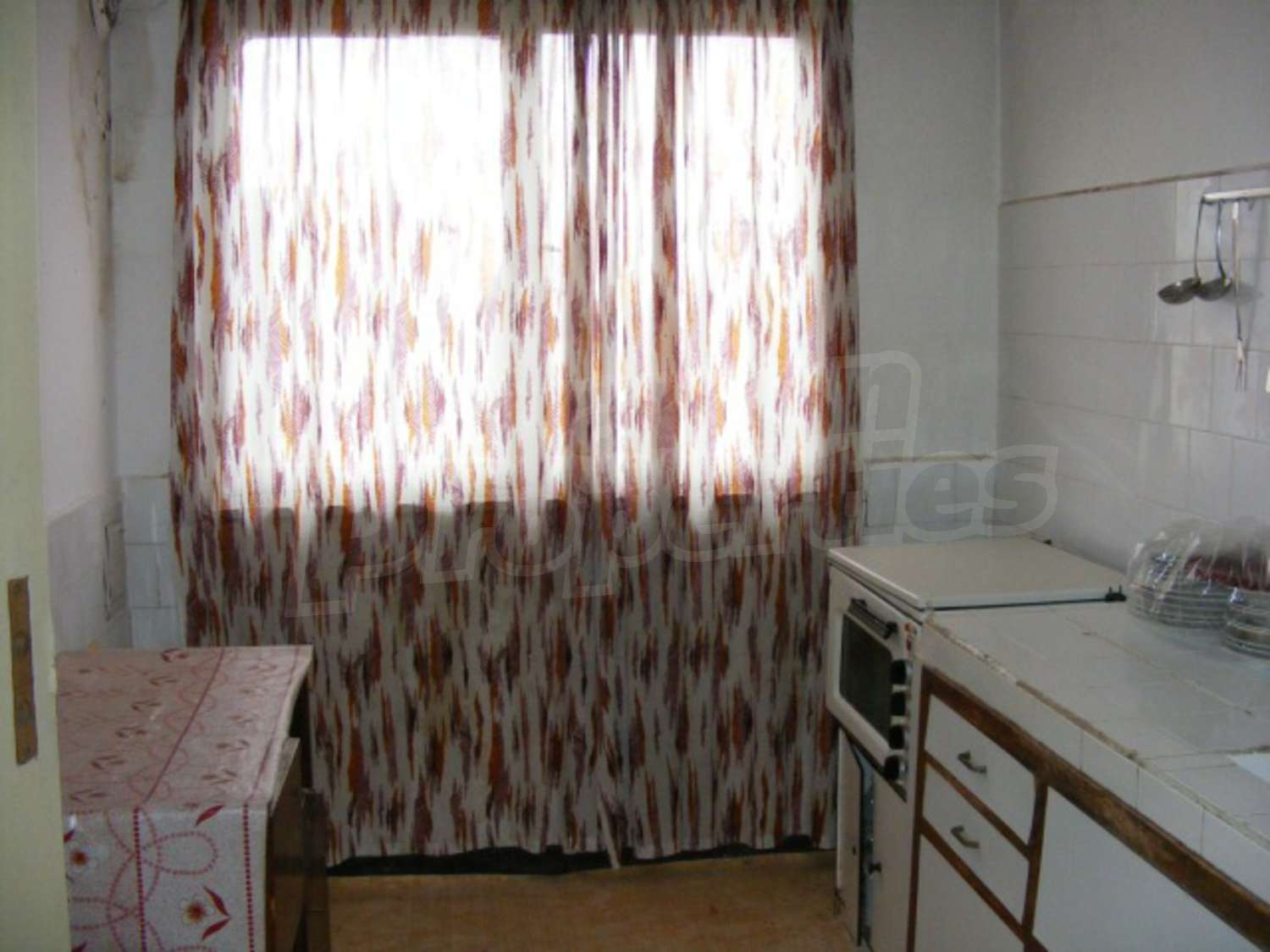 Gallery Picture 22