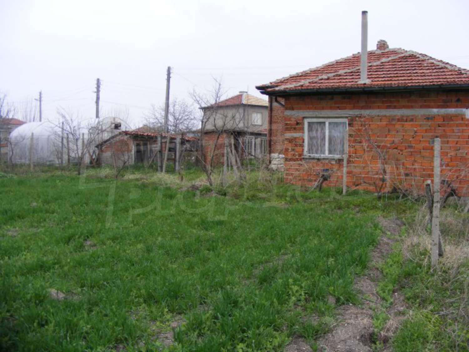 Gallery Picture 28