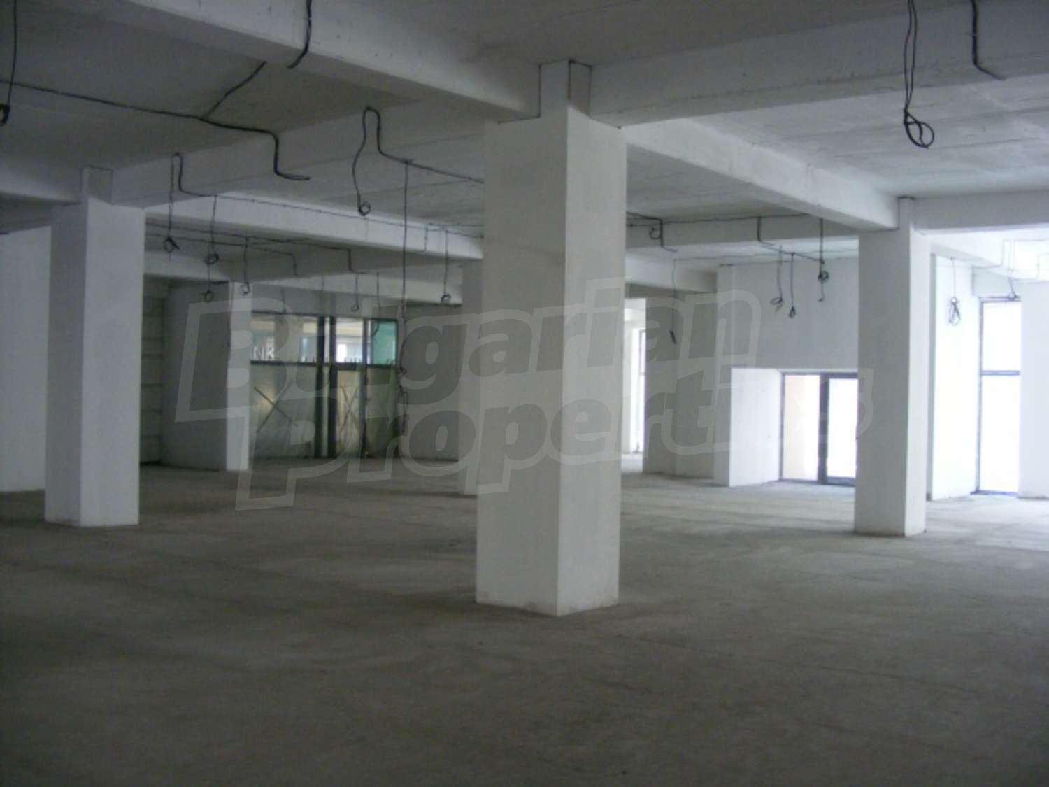 Gallery Picture 6
