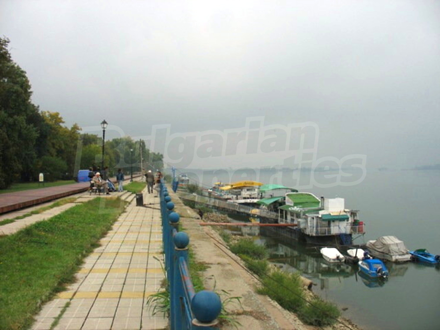Gallery Picture 16