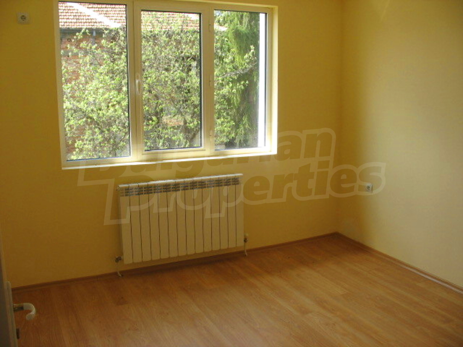 Gallery Picture 13