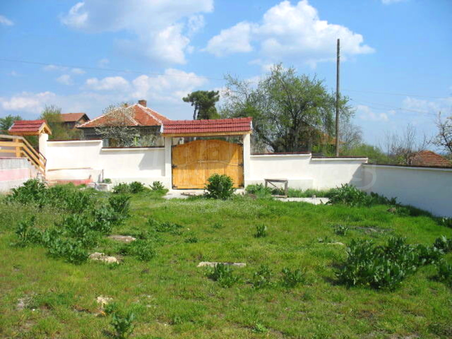 Gallery Picture 17