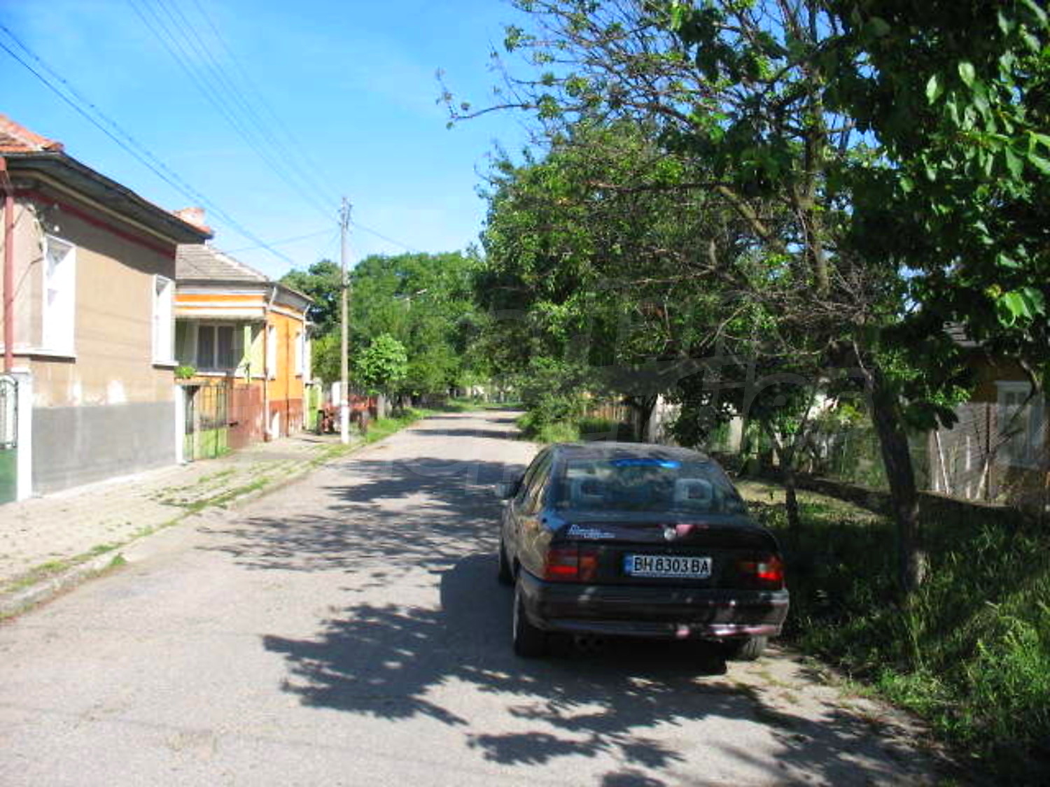 Gallery Picture 10