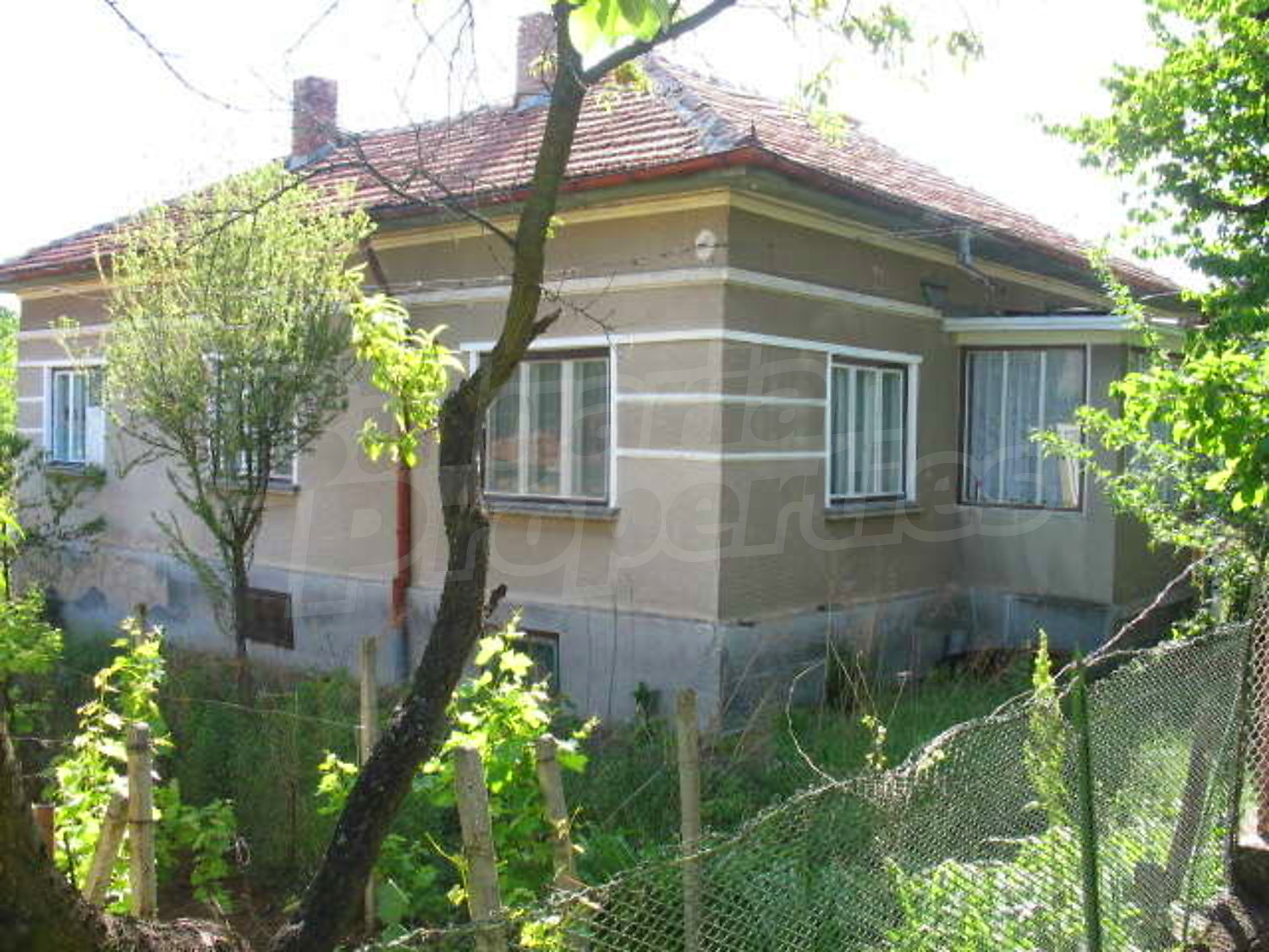 Gallery Picture 2