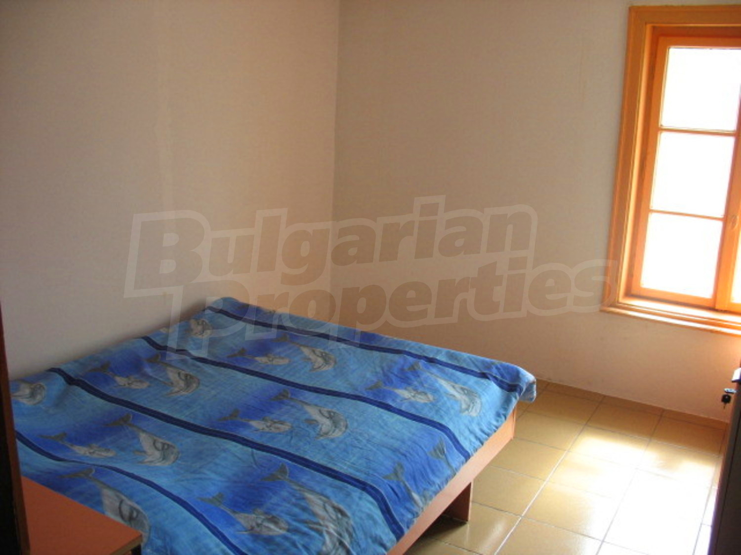 Gallery Picture 11