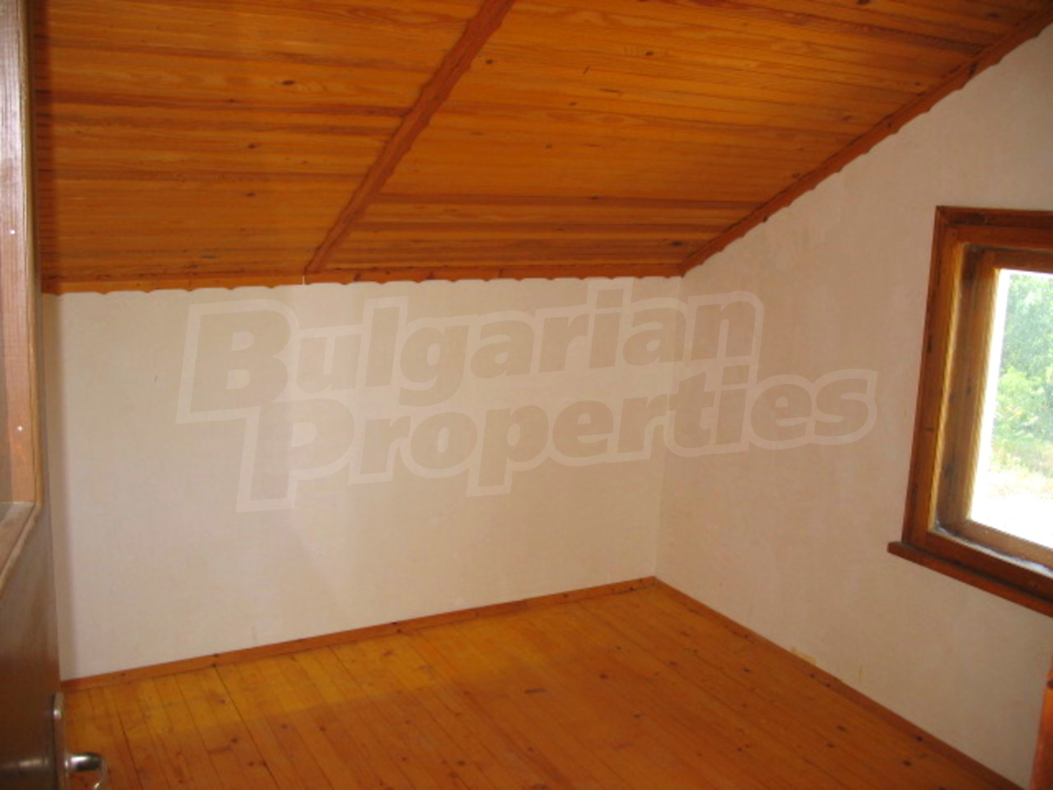 Gallery Picture 15