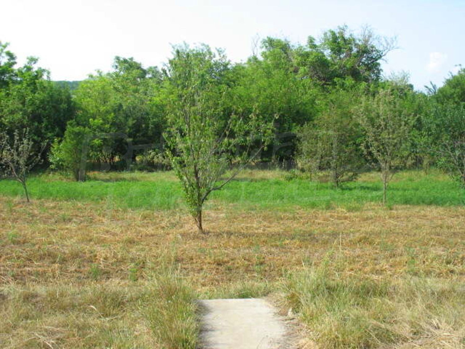 Gallery Picture 20