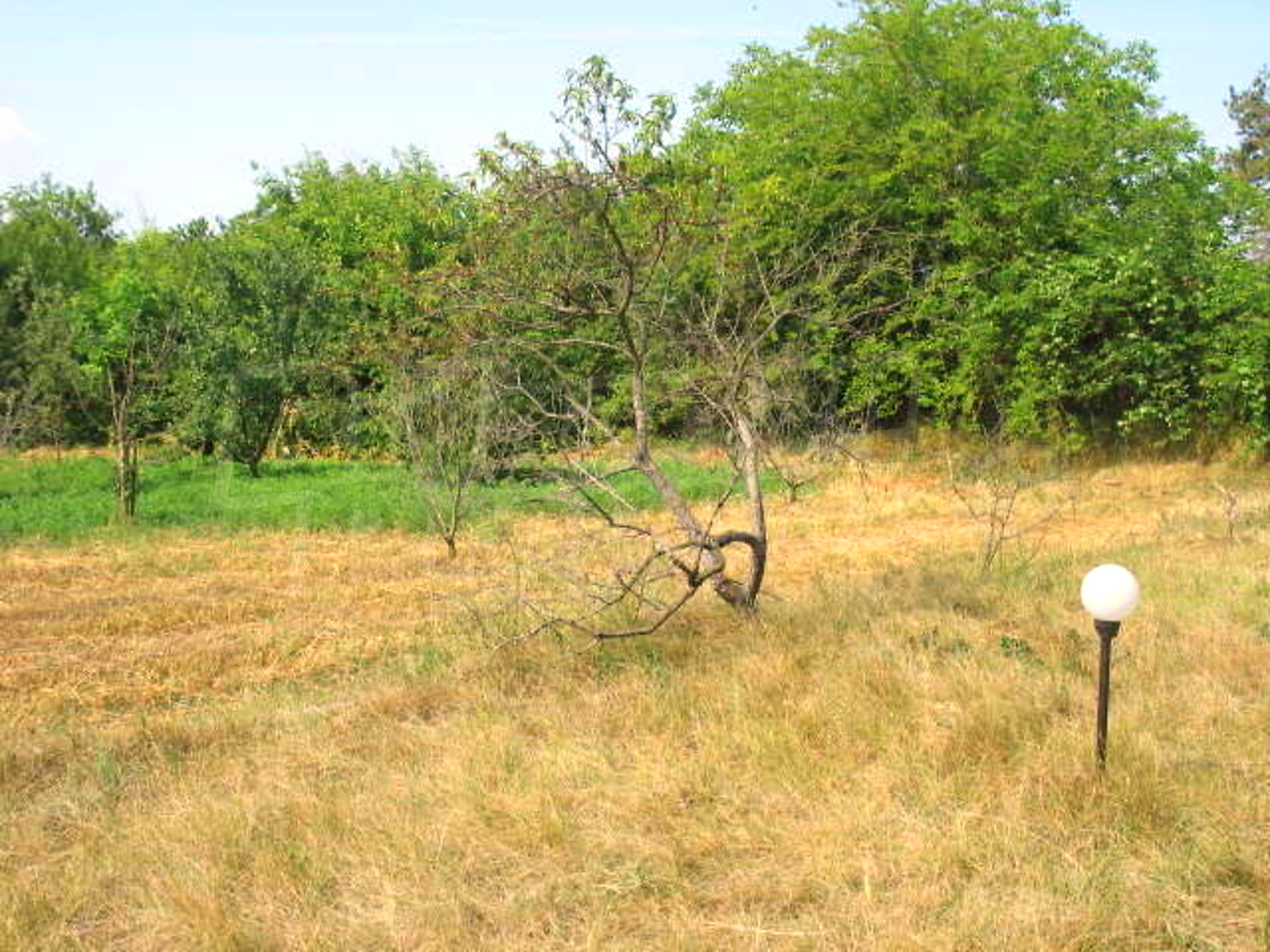 Gallery Picture 21