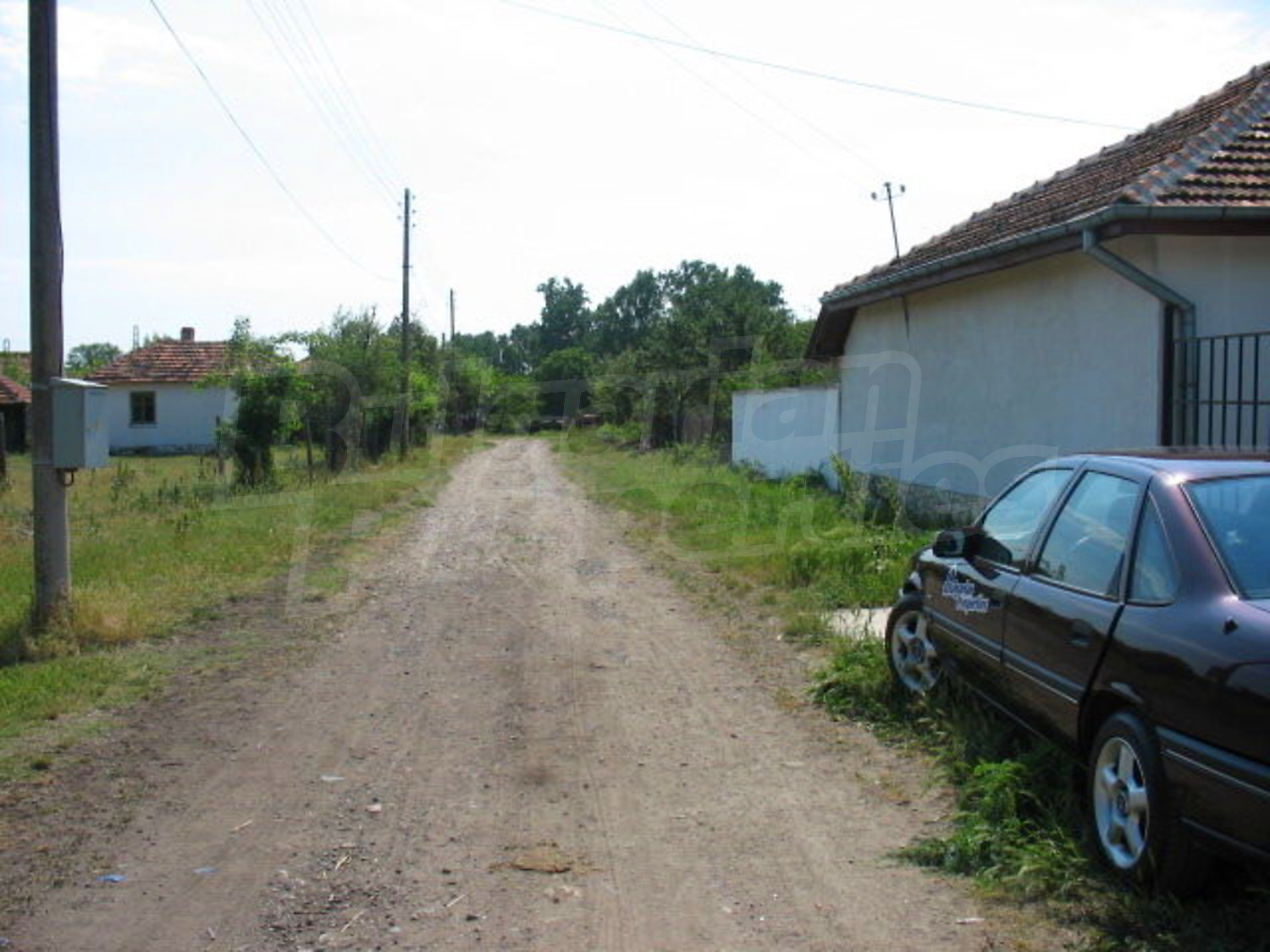 Gallery Picture 26